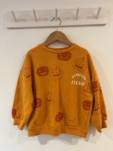 Pumpkin Picker sweatshirt 3-4Y (look at the back!)